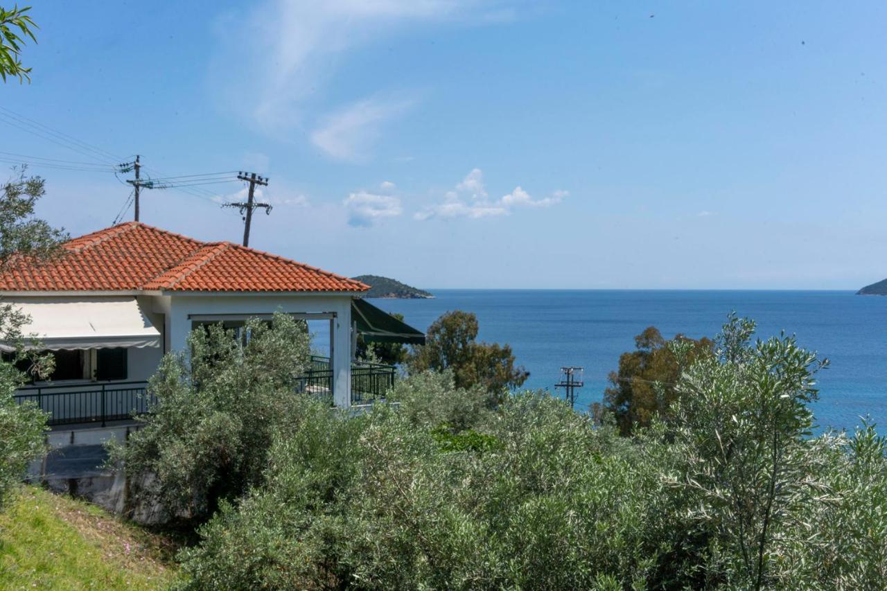 Ftelia House Βίλα Σκιάθος Πόλη Εξωτερικό φωτογραφία